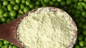 pea protein market